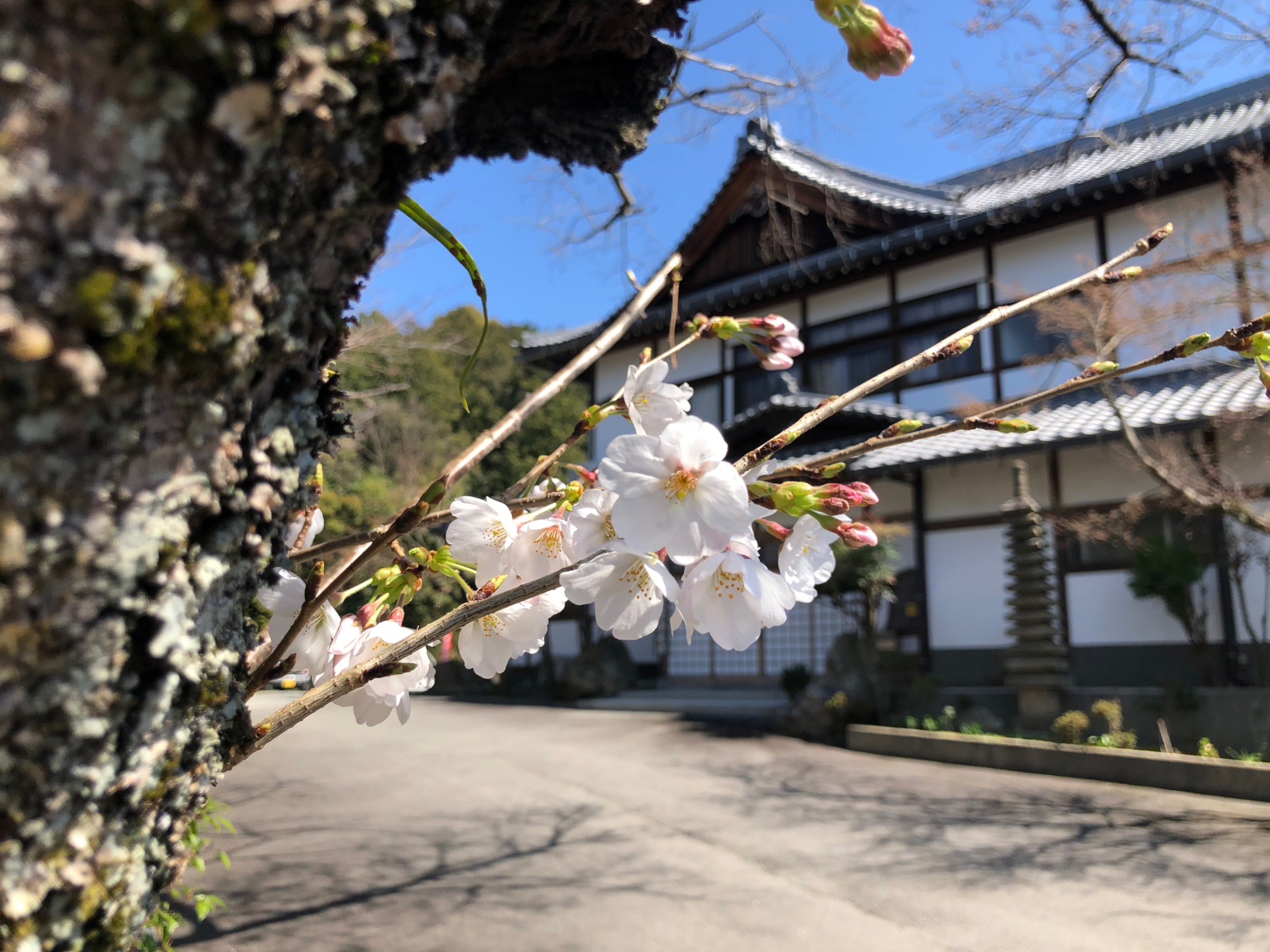 春の彼岸会